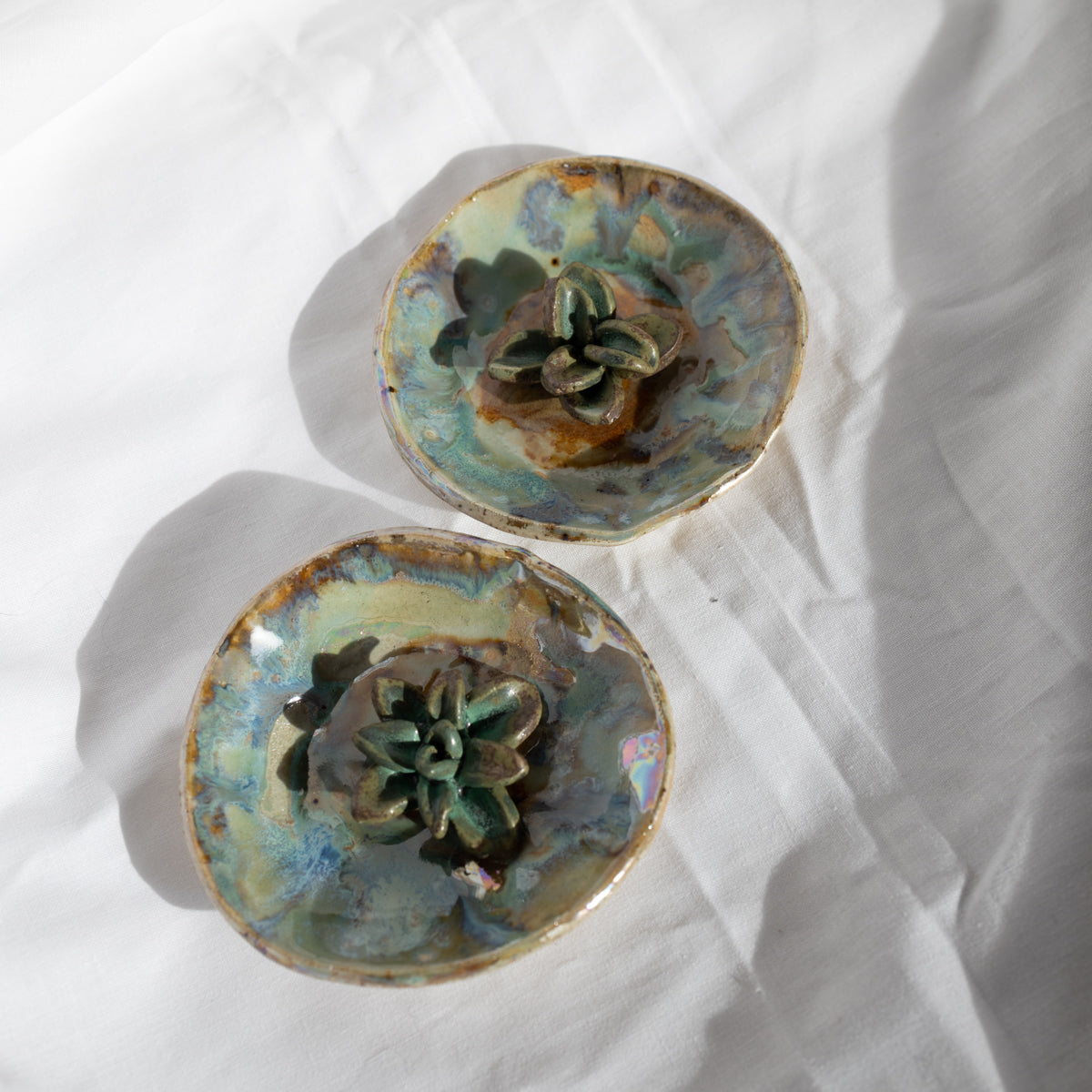 Räucherteller Succulente